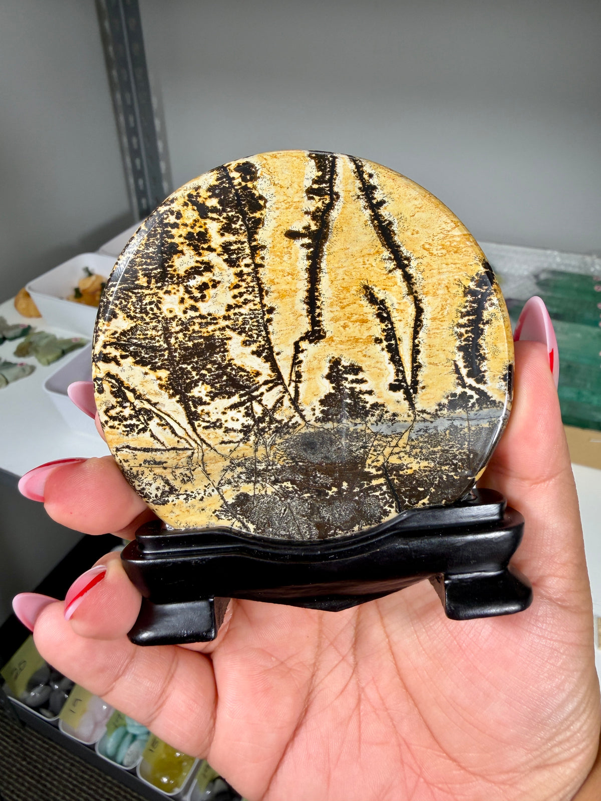 Gorgeous Picture Jasper Polished Round Display Plaque with Stand | Opt 69