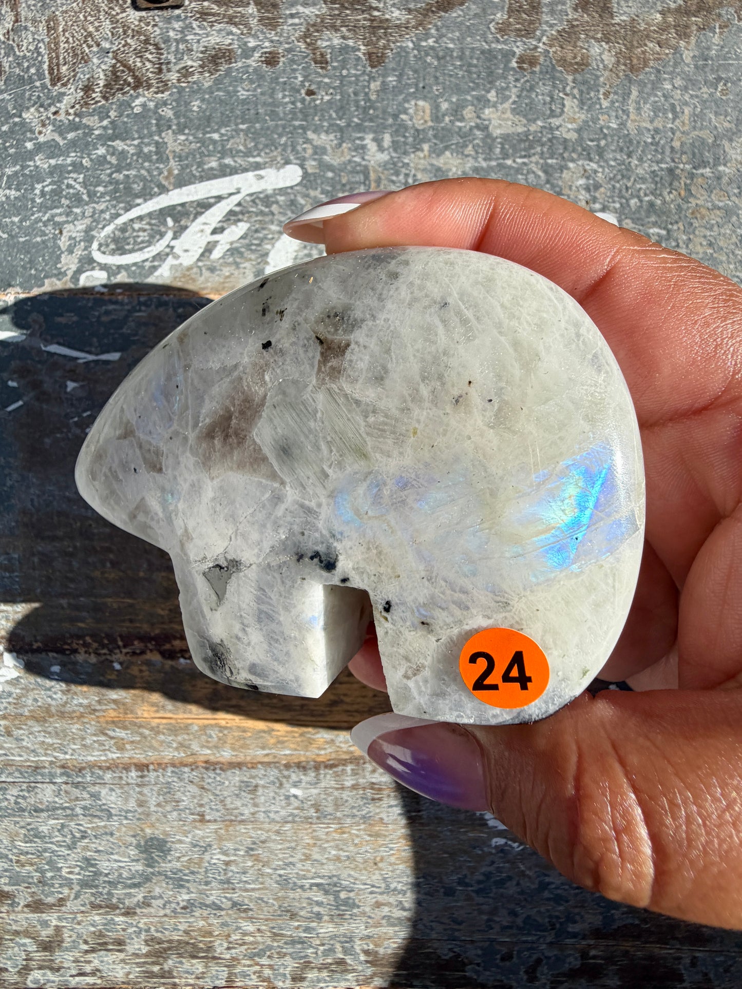 Adorable Rainbow Moonstone Bear | India | Opt 24