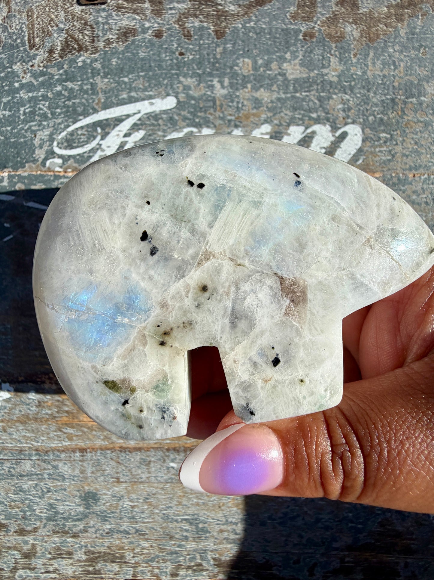 Adorable Rainbow Moonstone Bear | India | Opt 24