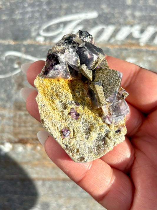 Gorgeous Yindu Fluorite with Pyrite Specimen from Mongolia | Opt I