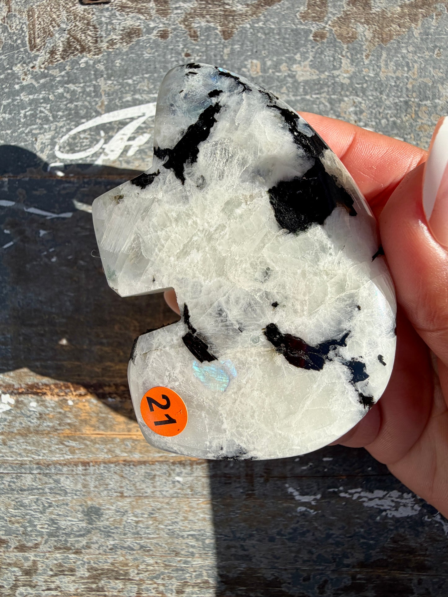 Adorable Rainbow Moonstone Bear | India | Opt 21