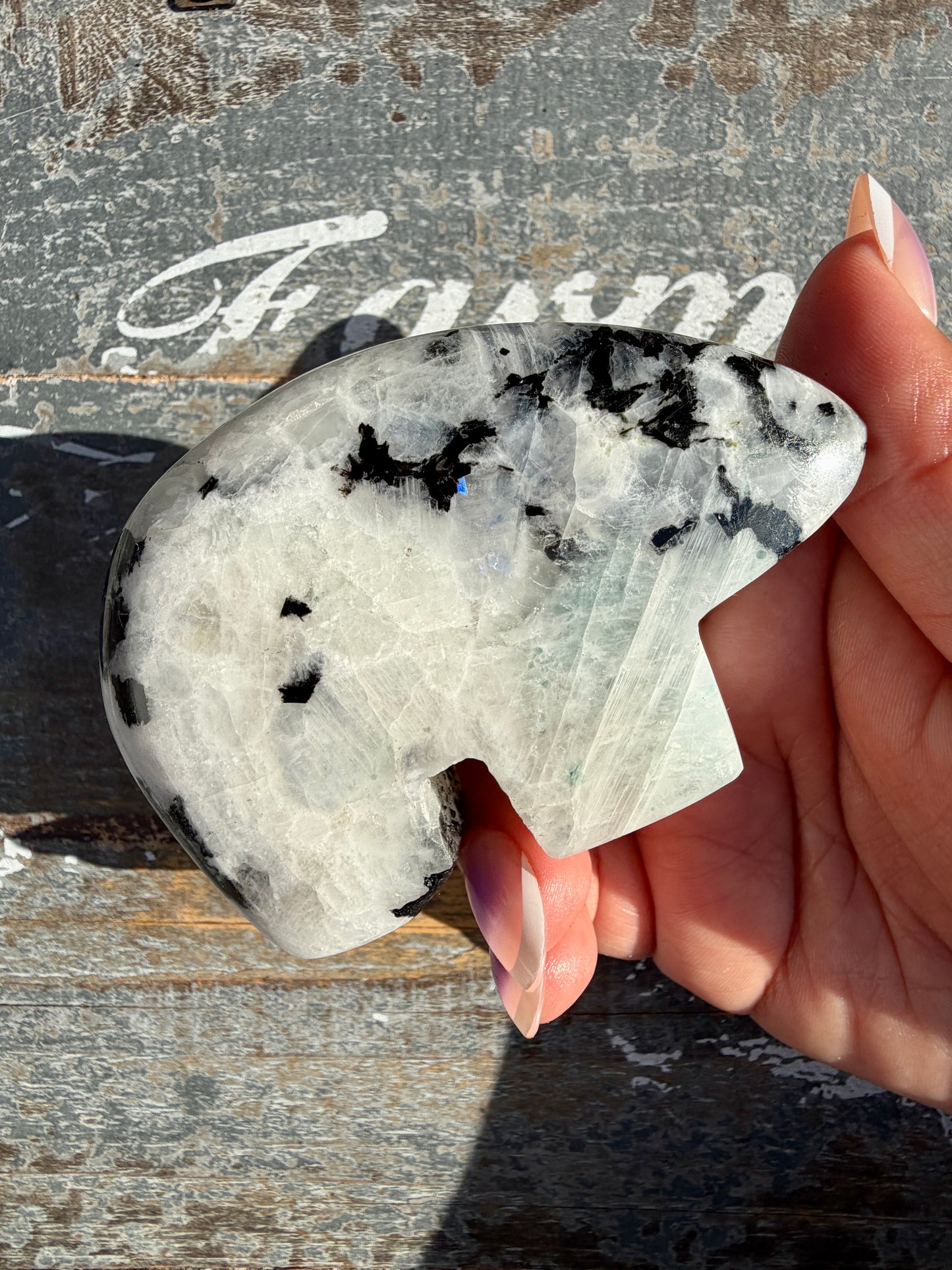 Adorable Rainbow Moonstone Bear | India | Opt 21