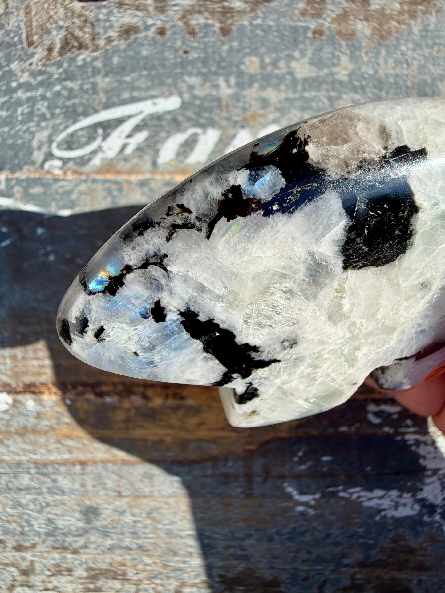 Adorable Rainbow Moonstone Bear | India | Opt 21