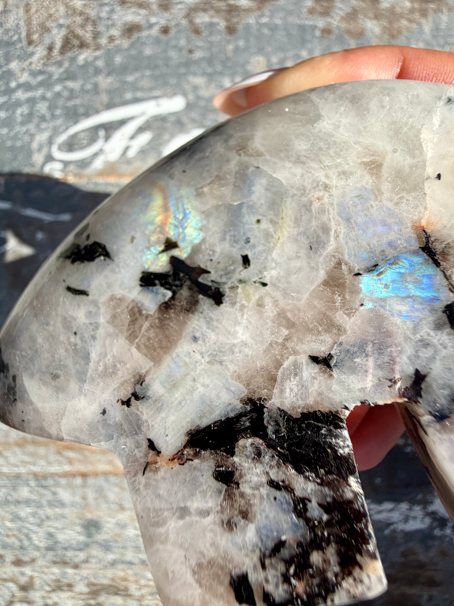 Adorable Rainbow Moonstone Bear | India | Opt 22
