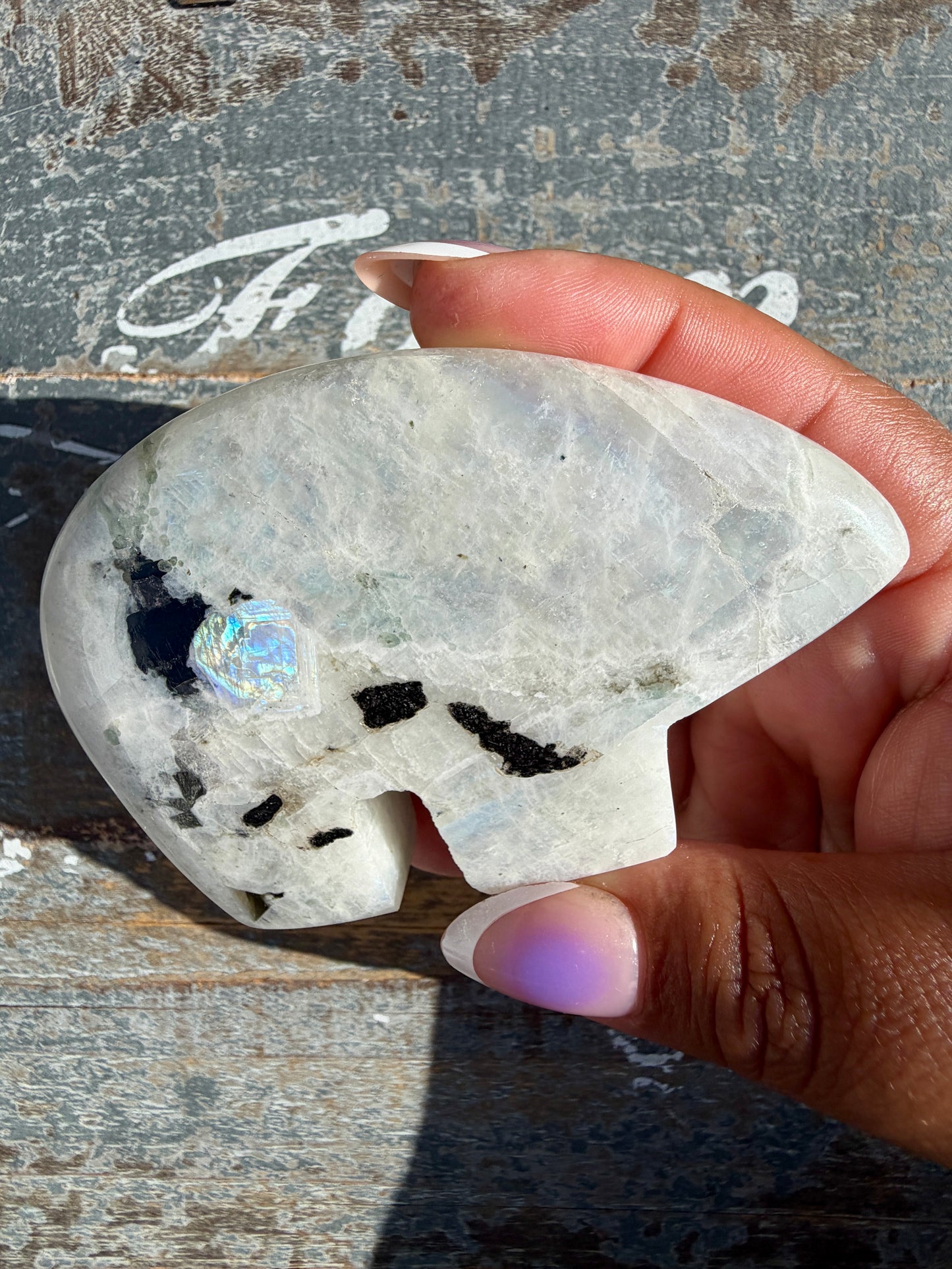 Adorable Rainbow Moonstone Bear | India | Opt 23