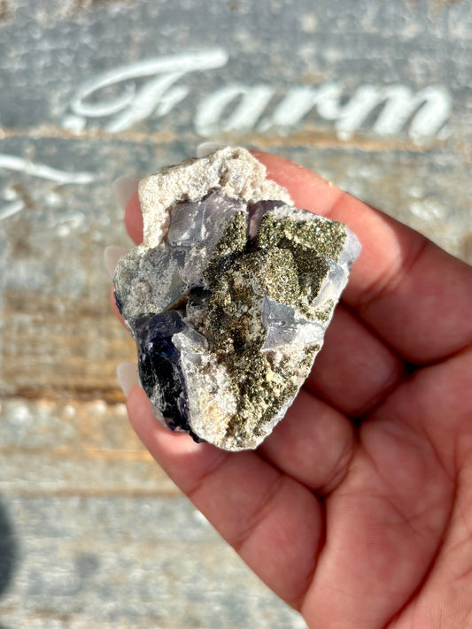 Gorgeous Yindu Fluorite with Pyrite Specimen from Mongolia | Opt K