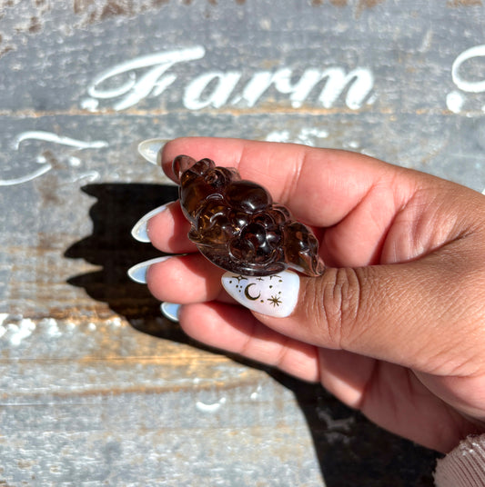 Gorgeous Natural Smokey Quartz Money Toad | Money Manifester | Opt U