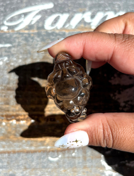 Gorgeous Natural Smokey Quartz Money Toad | Money Manifester | Opt Y