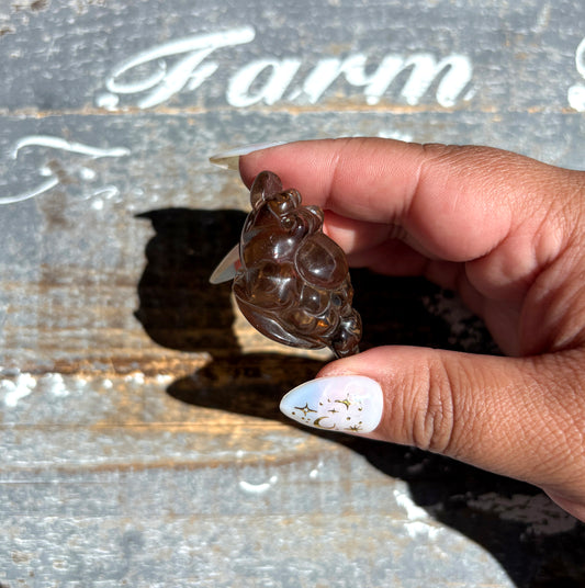 Gorgeous Natural Smokey Quartz Money Toad | Money Manifester | Opt Y