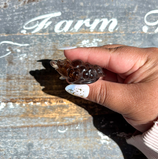 Gorgeous Natural Smokey Quartz Money Toad | Money Manifester | Opt W