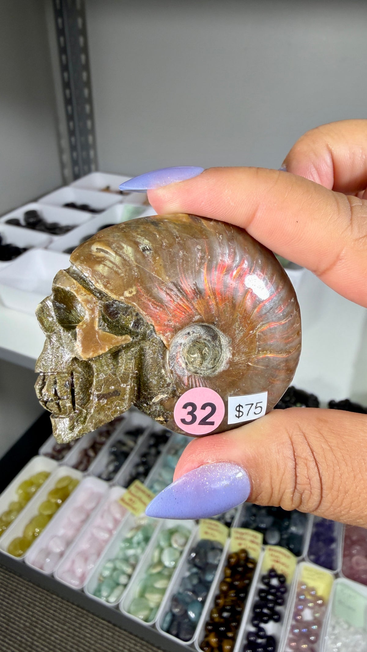 Gorgeous Ammonite Fossil Hand Carved Skull (Red Flash) Opt 32