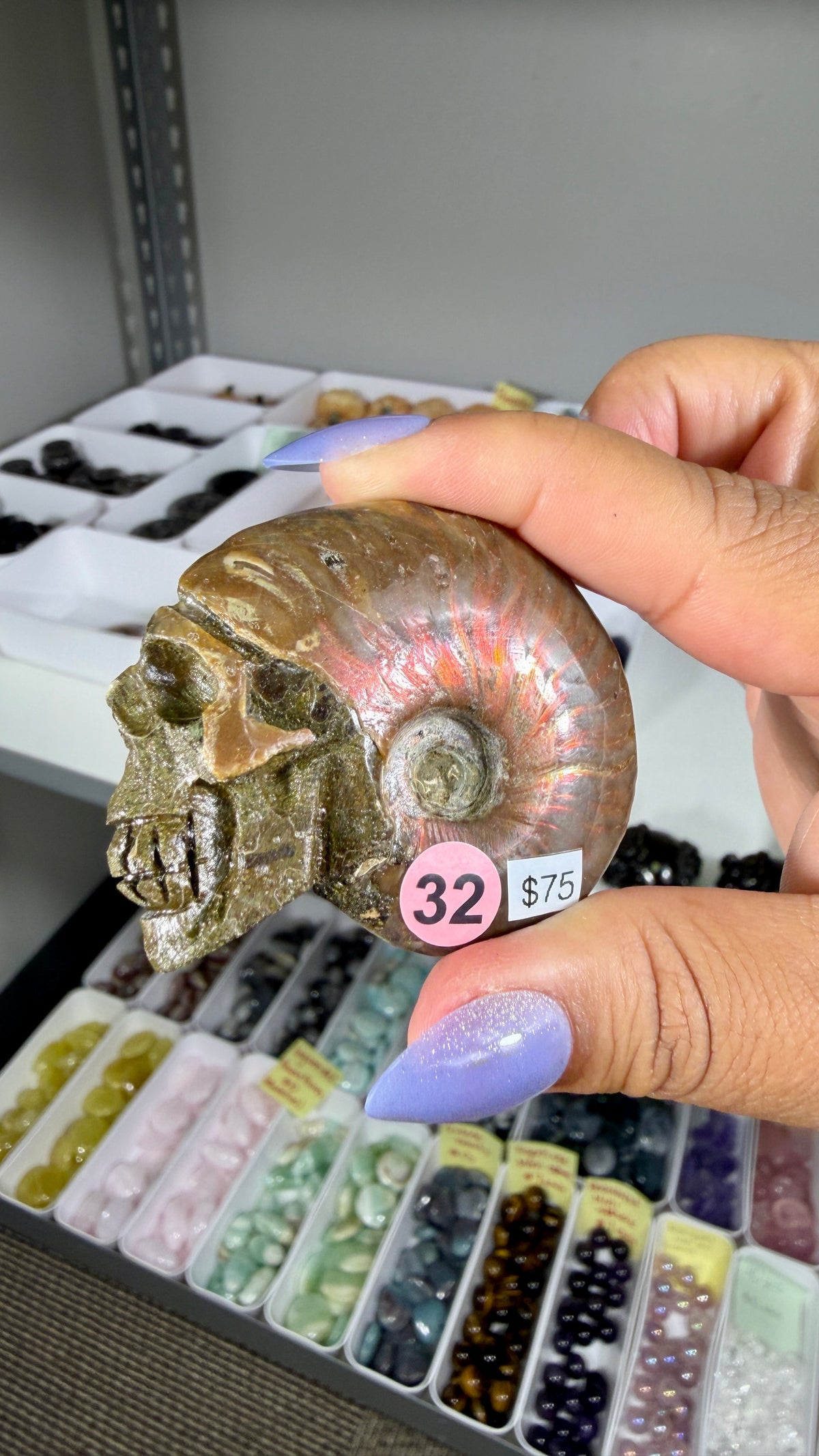 Gorgeous Ammonite Fossil Hand Carved Skull (Red Flash) Opt 32