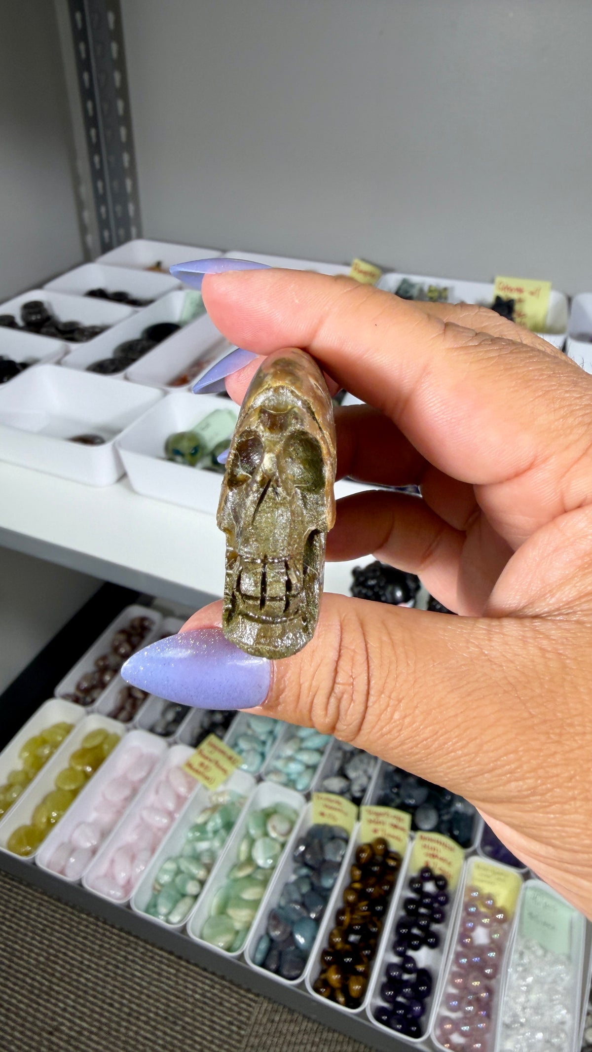 Gorgeous Ammonite Fossil Hand Carved Skull (Red Flash) Opt 32