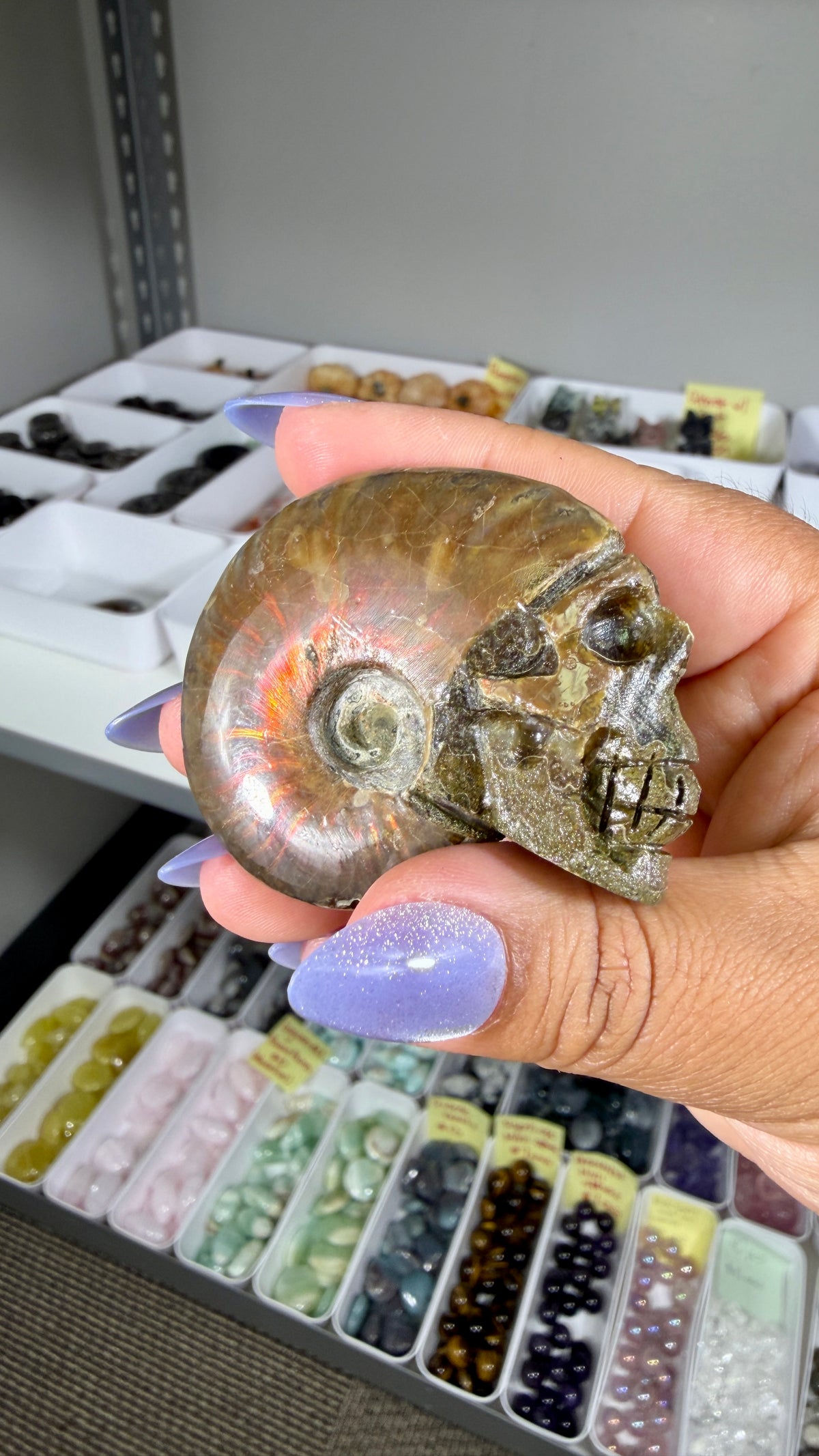 Gorgeous Ammonite Fossil Hand Carved Skull (Red Flash) Opt 32