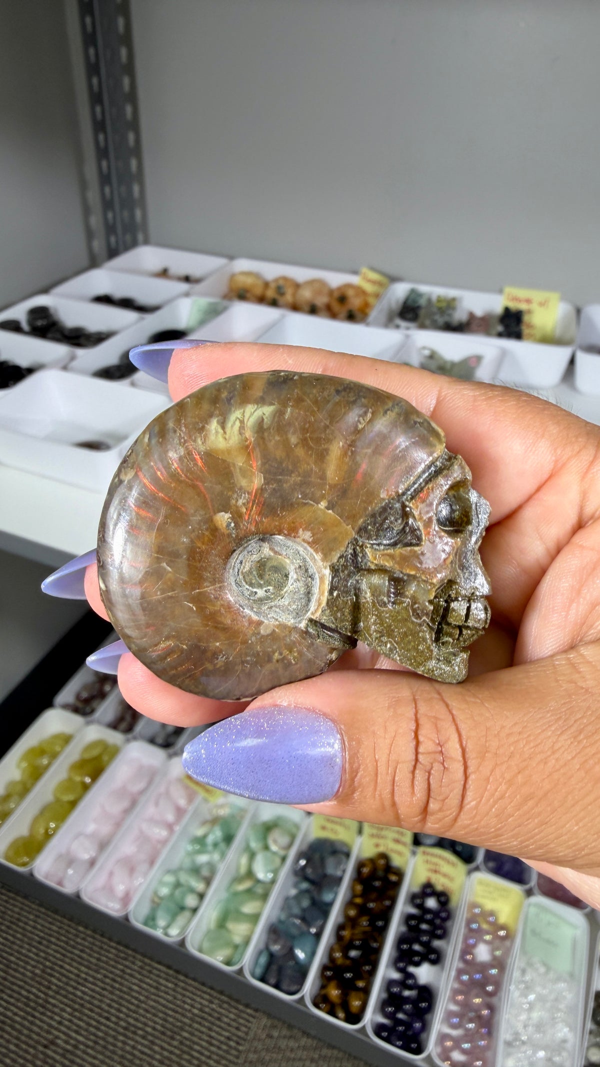 Gorgeous Ammonite Fossil Hand Carved Skull (Red Flash) Opt 32