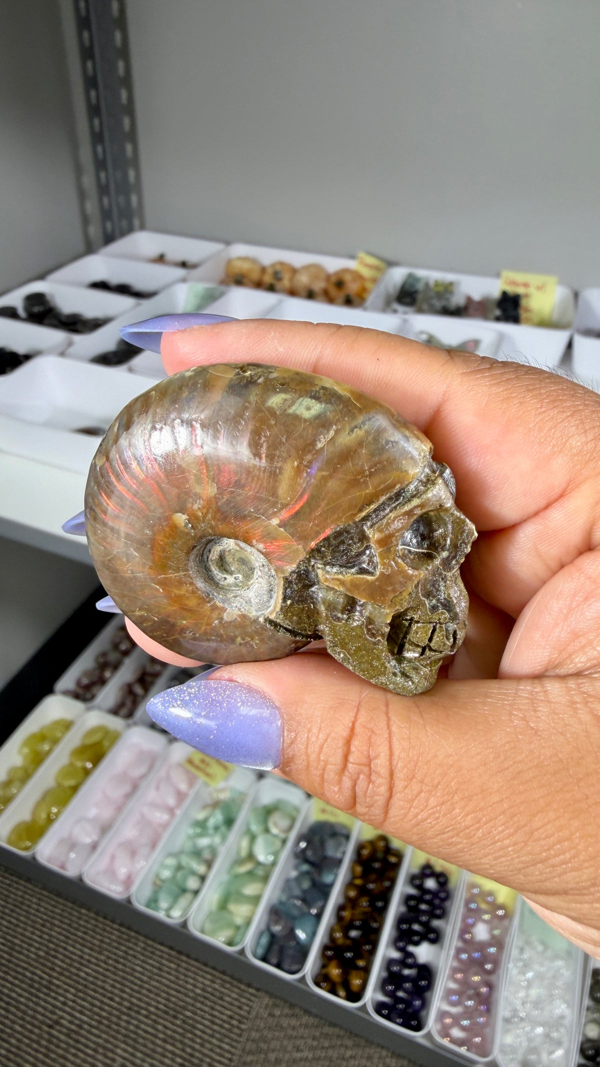Gorgeous Ammonite Fossil Hand Carved Skull (Red Flash) Opt 32