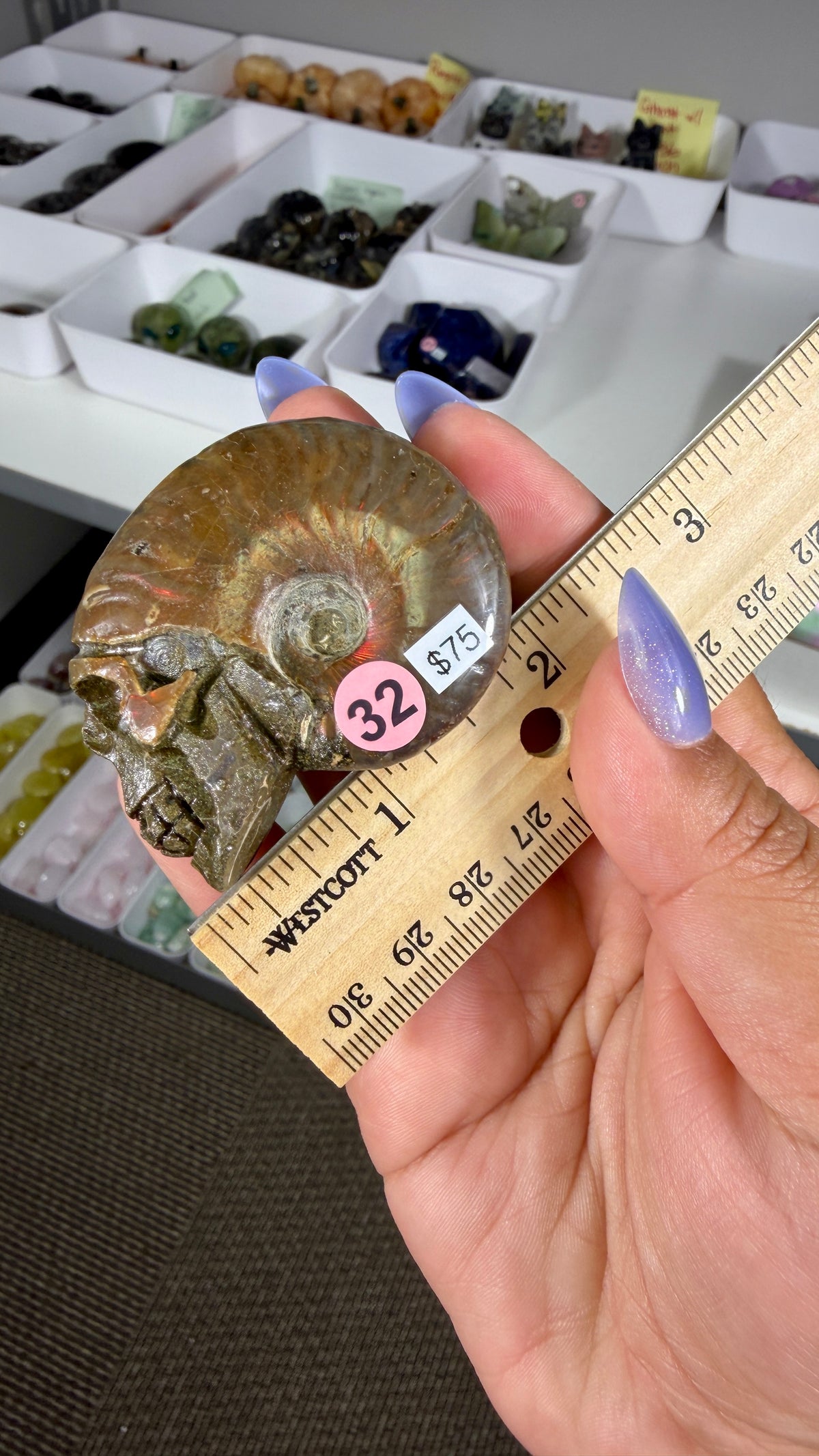 Gorgeous Ammonite Fossil Hand Carved Skull (Red Flash) Opt 32