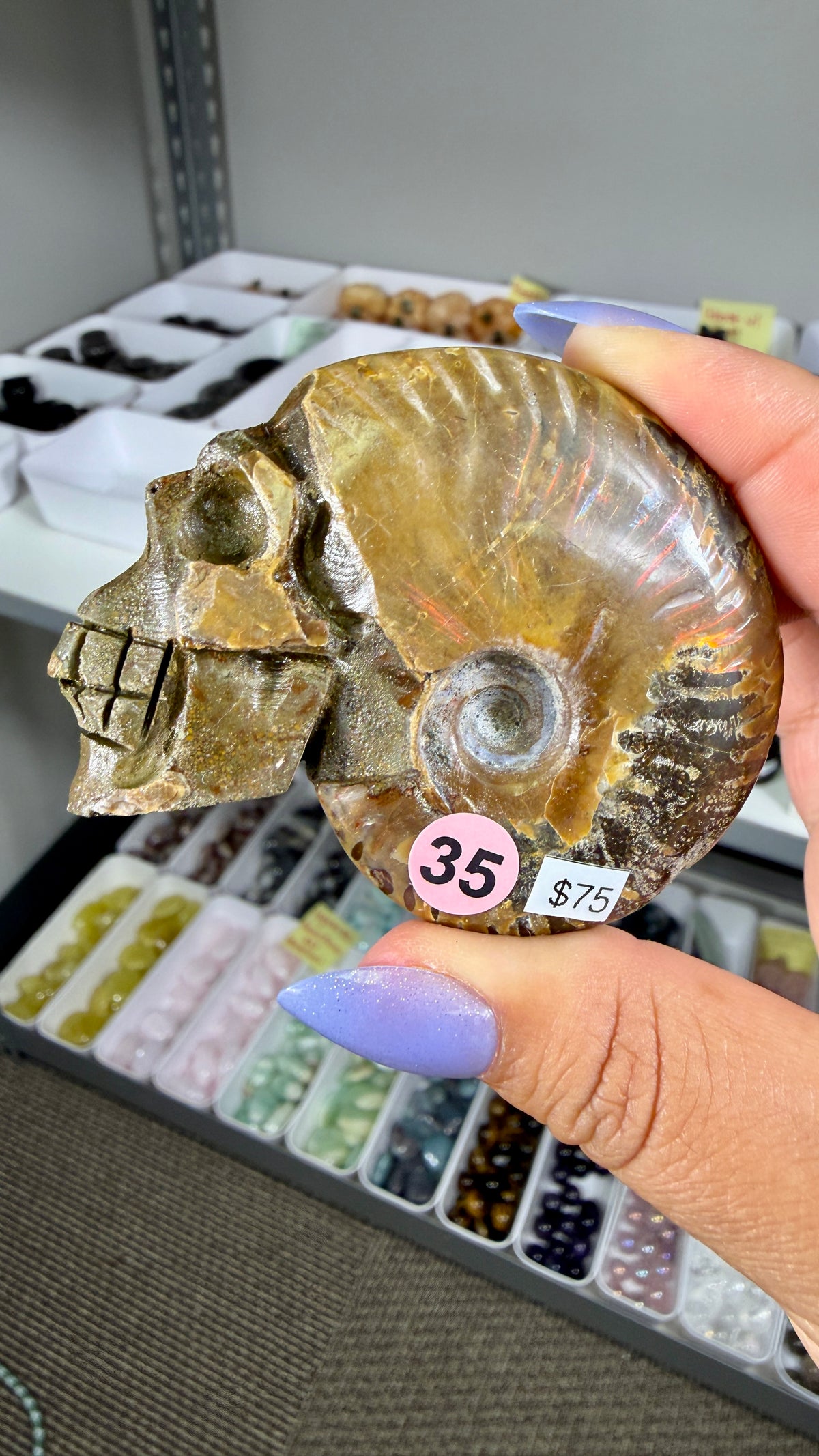 Gorgeous Ammonite Fossil Hand Carved Skull (Red Flash) Opt 35