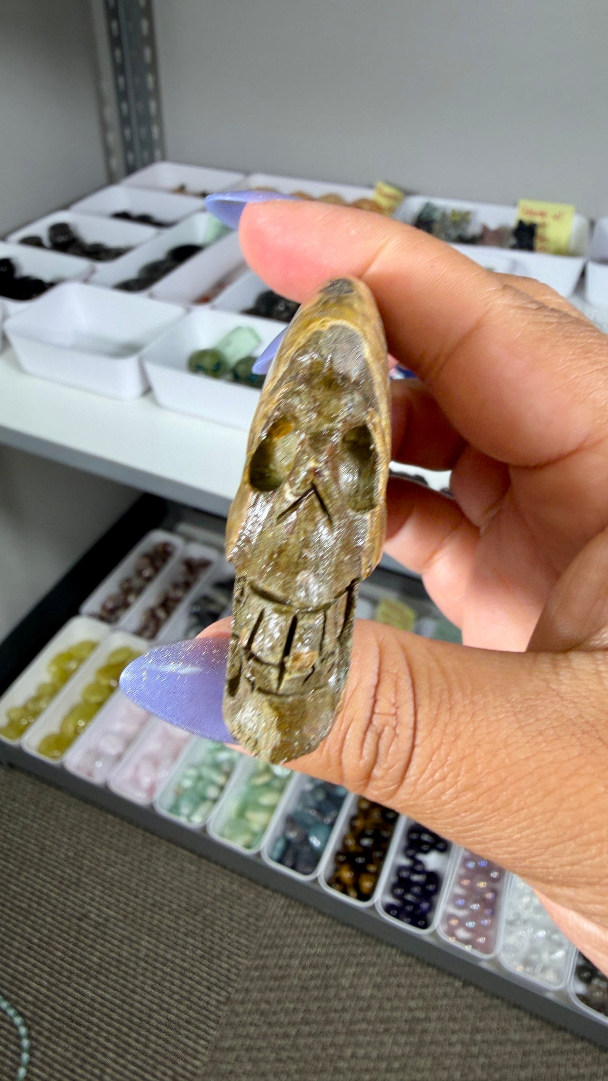 Gorgeous Ammonite Fossil Hand Carved Skull (Red Flash) Opt 35