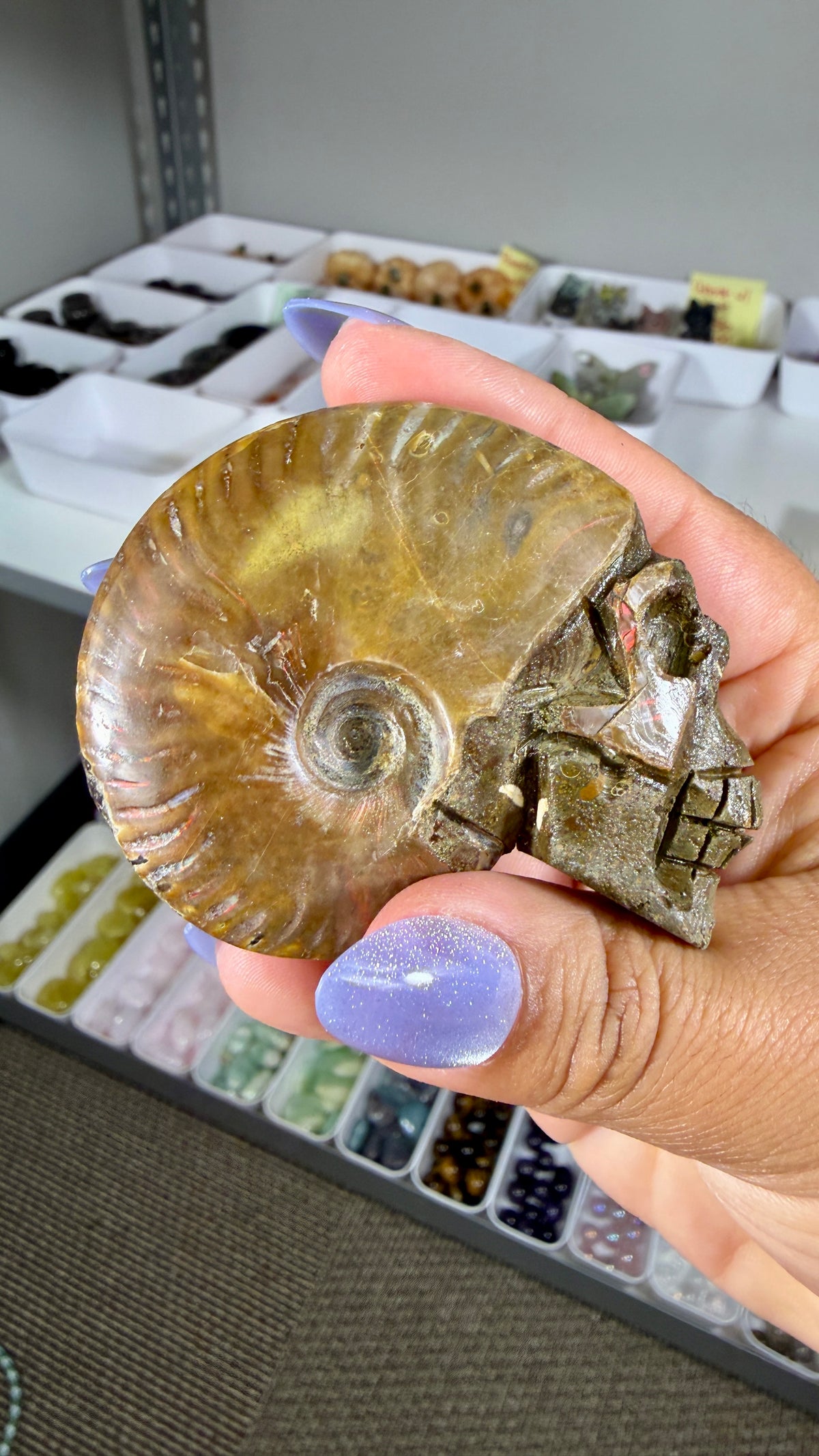 Gorgeous Ammonite Fossil Hand Carved Skull (Red Flash) Opt 35