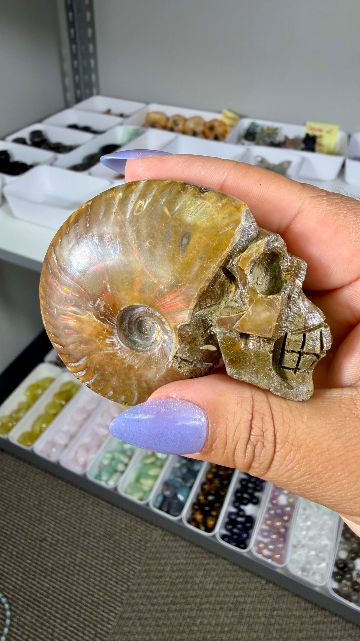 Gorgeous Ammonite Fossil Hand Carved Skull (Red Flash) Opt 35