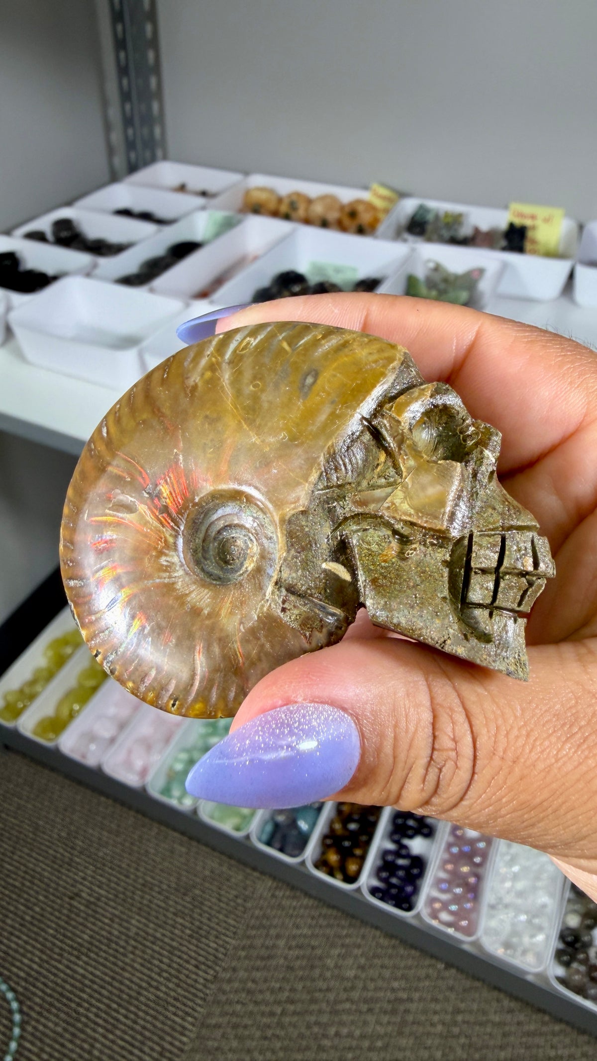 Gorgeous Ammonite Fossil Hand Carved Skull (Red Flash) Opt 35