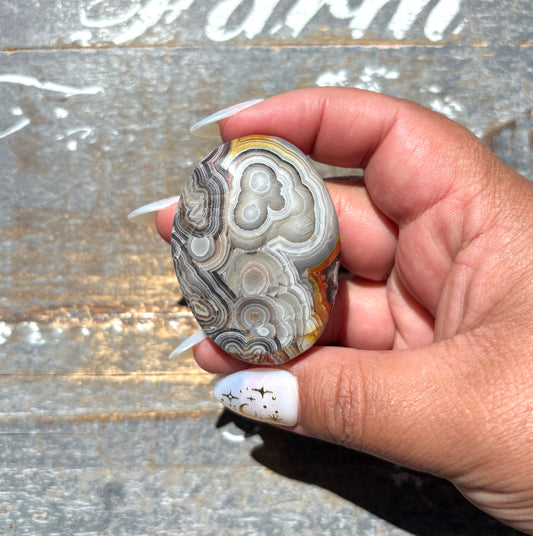 Gorgeous High Quality Crazy Lace Agate Palm Stone from Mexico | D