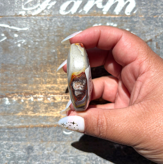 Gorgeous High Quality Crazy Lace Agate Palm Stone from Mexico | D