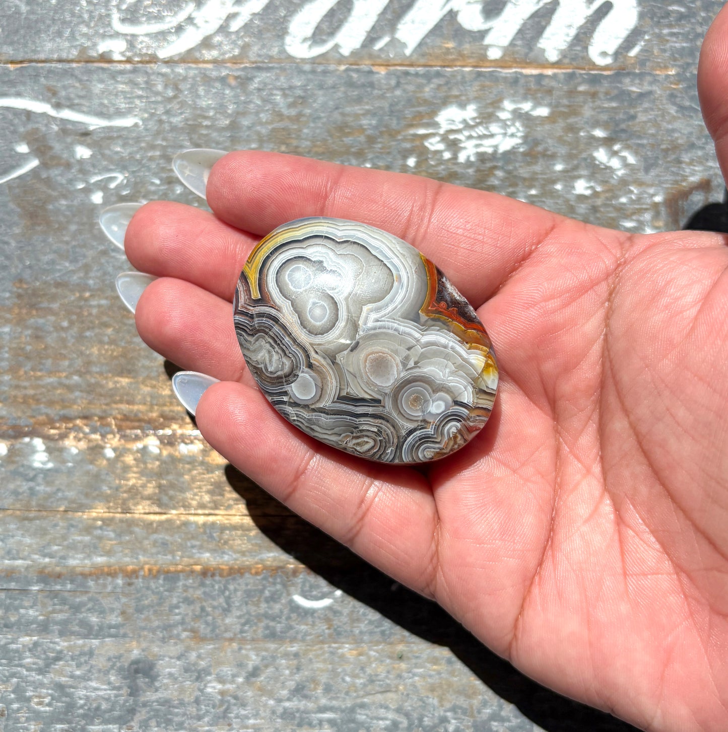 Gorgeous High Quality Crazy Lace Agate Palm Stone from Mexico | D