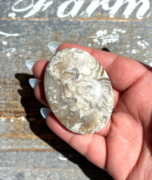 Gorgeous High Quality Crazy Lace Agate Palm Stone from Mexico | C