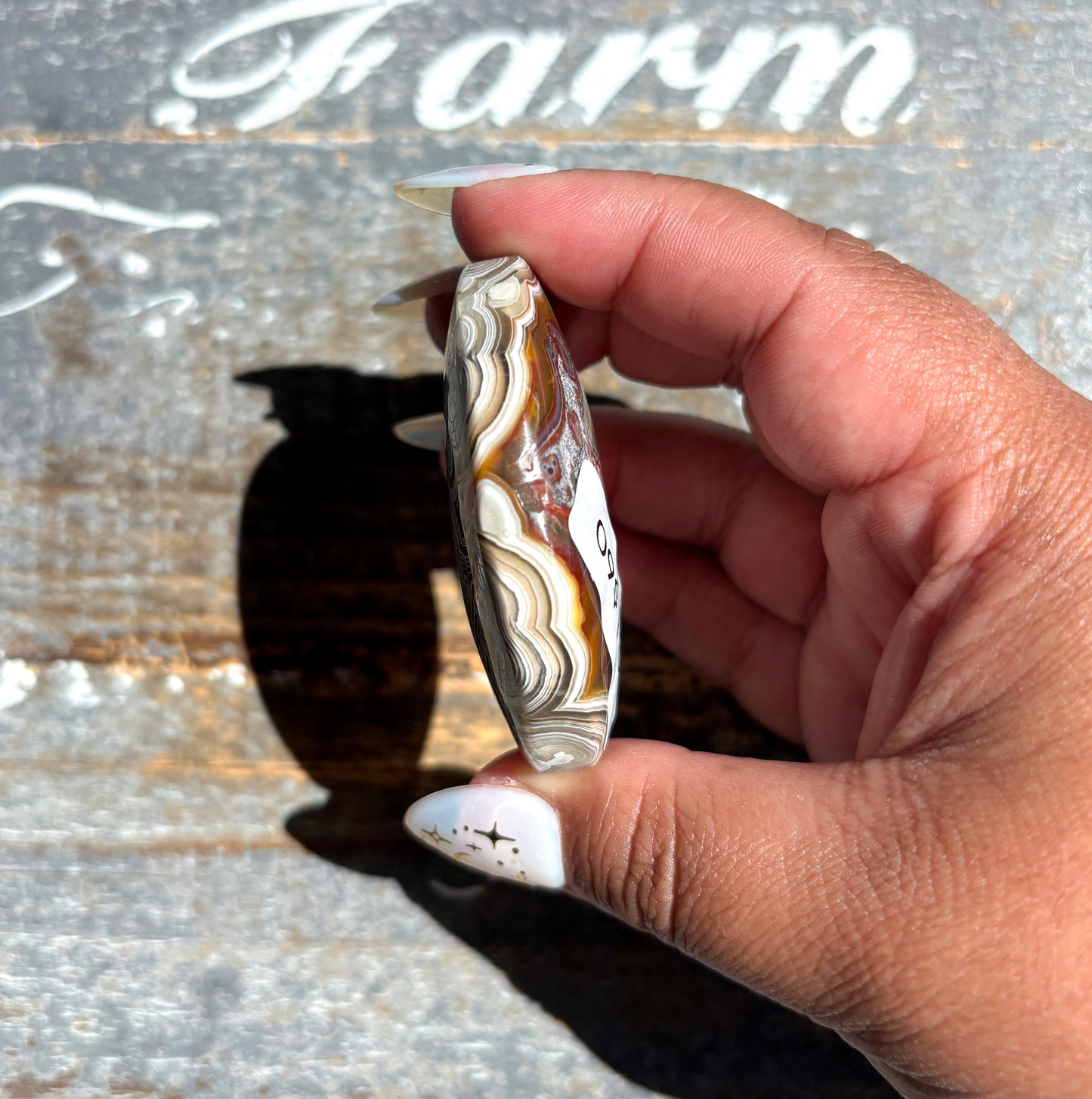 Gorgeous High Quality Crazy Lace Agate Palm Stone from Mexico | C