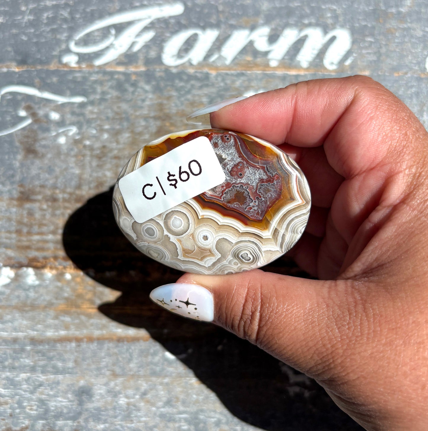 Gorgeous High Quality Crazy Lace Agate Palm Stone from Mexico | C