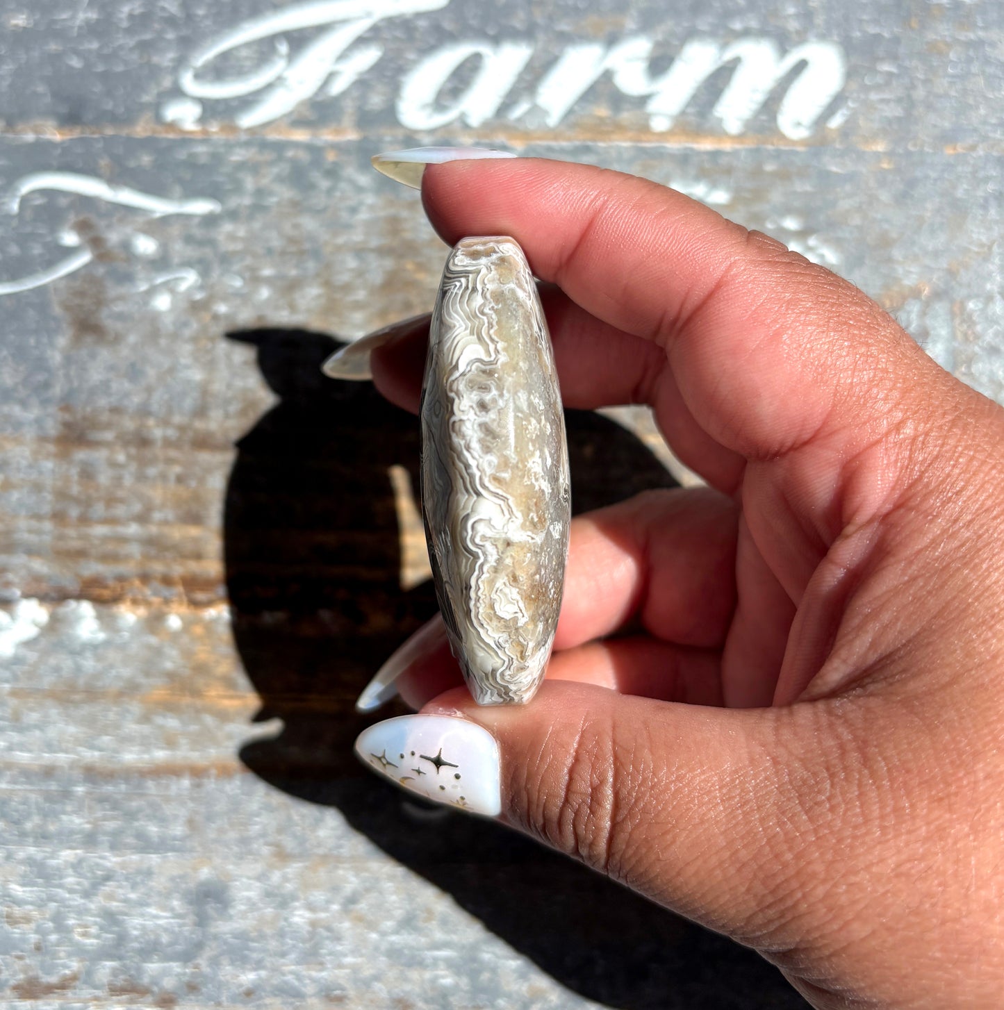 Gorgeous High Quality Crazy Lace Agate Palm Stone from Mexico | C