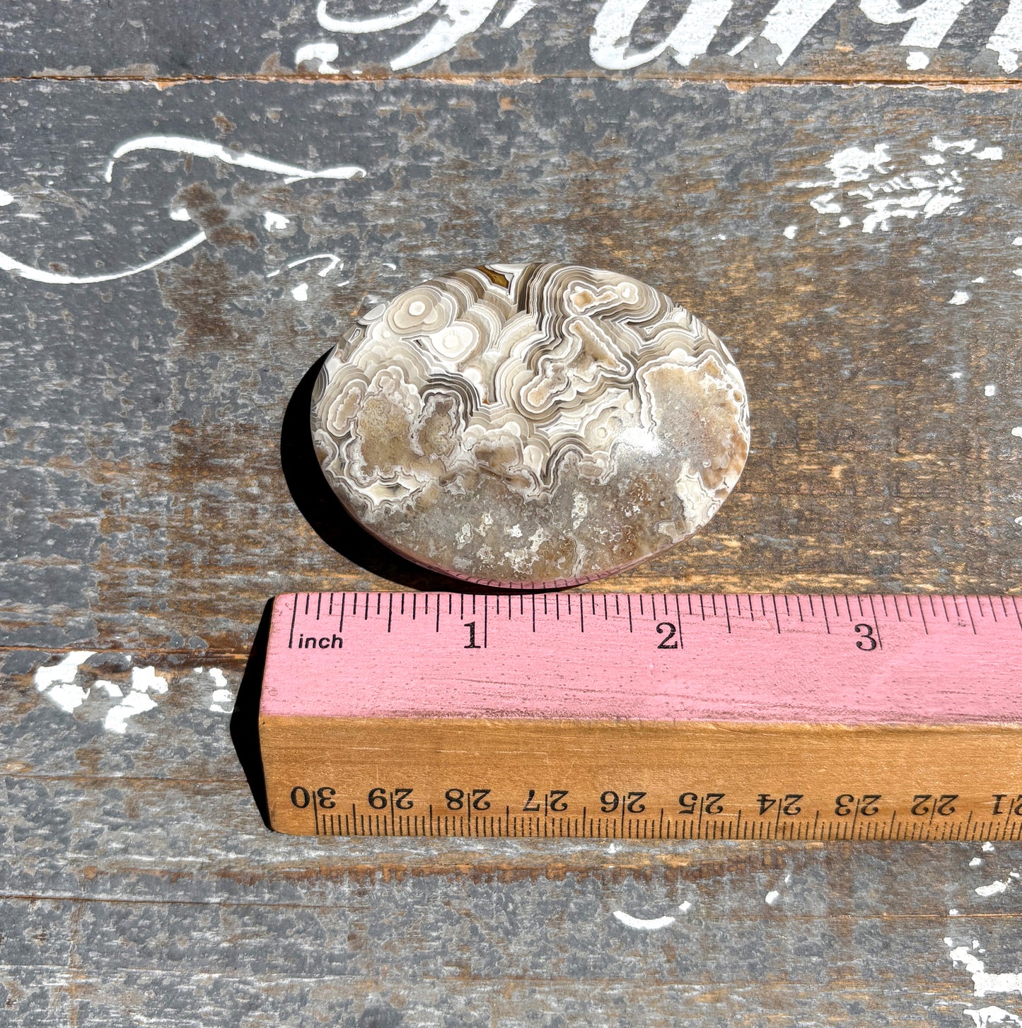 Gorgeous High Quality Crazy Lace Agate Palm Stone from Mexico | C