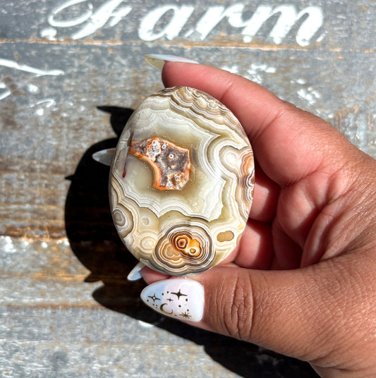 Gorgeous High Quality Crazy Lace Agate Palm Stone from Mexico | E