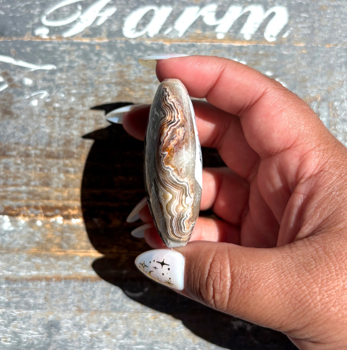 Gorgeous High Quality Crazy Lace Agate Palm Stone from Mexico | E