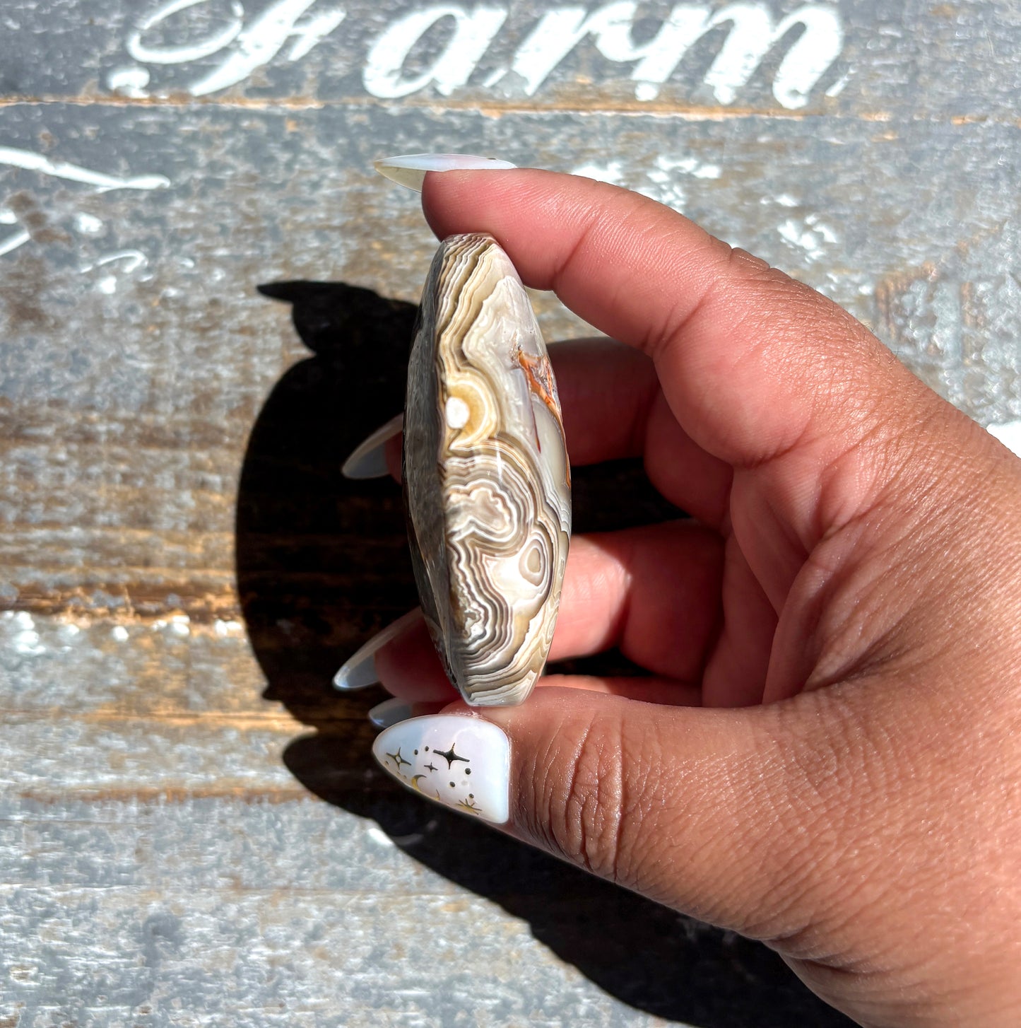 Gorgeous High Quality Crazy Lace Agate Palm Stone from Mexico | E