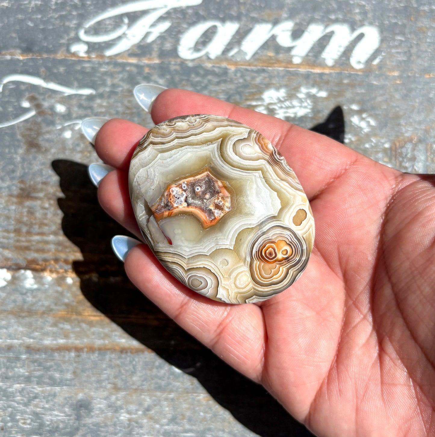 Gorgeous High Quality Crazy Lace Agate Palm Stone from Mexico | E