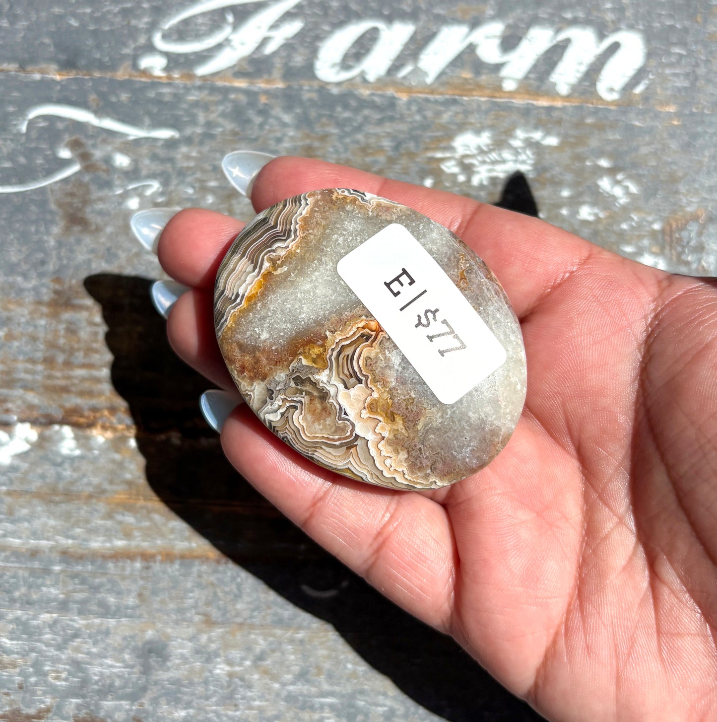 Gorgeous High Quality Crazy Lace Agate Palm Stone from Mexico | E