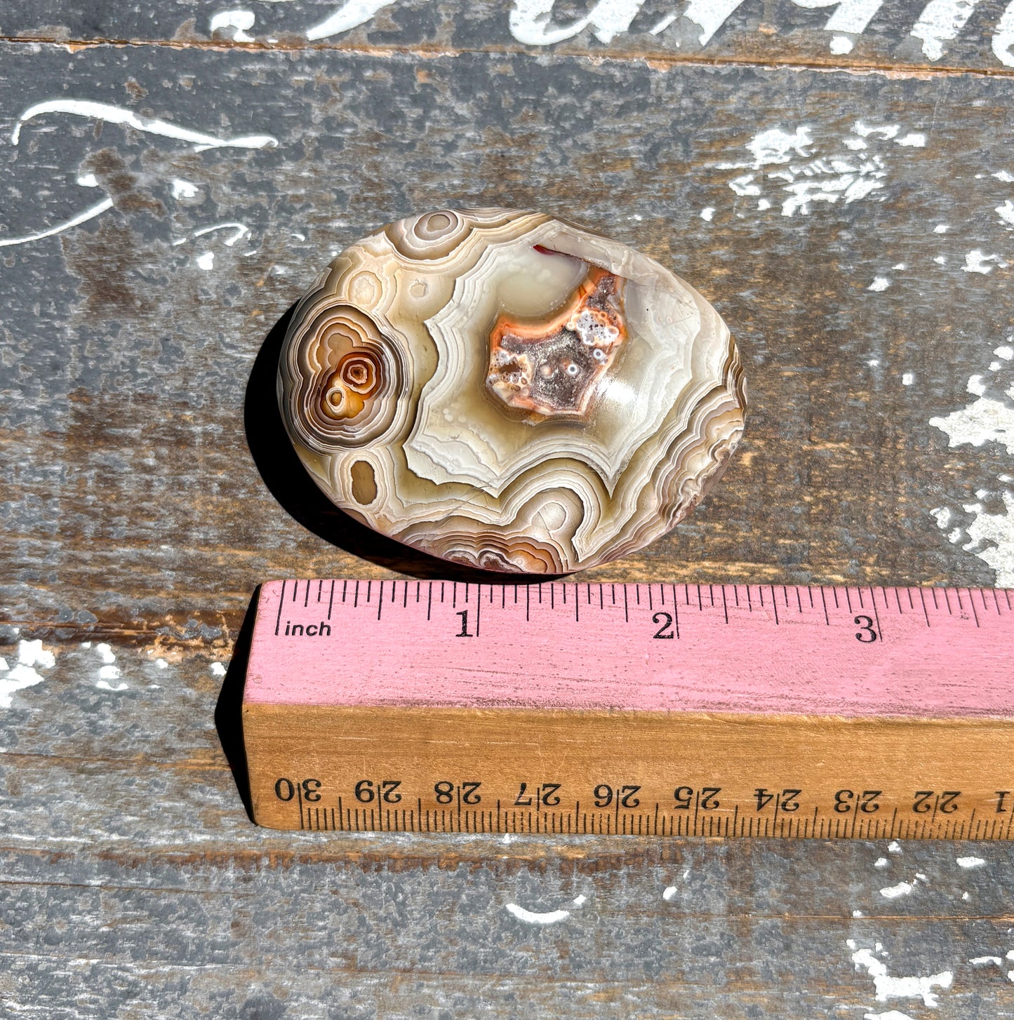 Gorgeous High Quality Crazy Lace Agate Palm Stone from Mexico | E