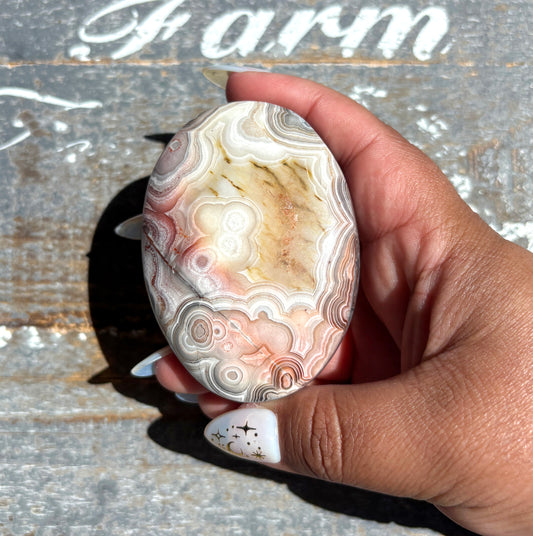 Gorgeous High Quality Crazy Lace Agate Palm Stone from Mexico | A