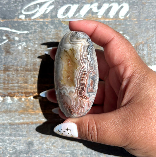Gorgeous High Quality Crazy Lace Agate Palm Stone from Mexico | A