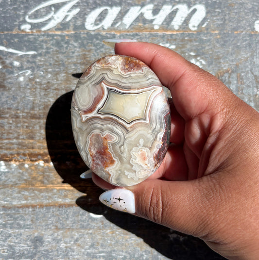 Gorgeous High Quality Crazy Lace Agate Palm Stone from Mexico | G