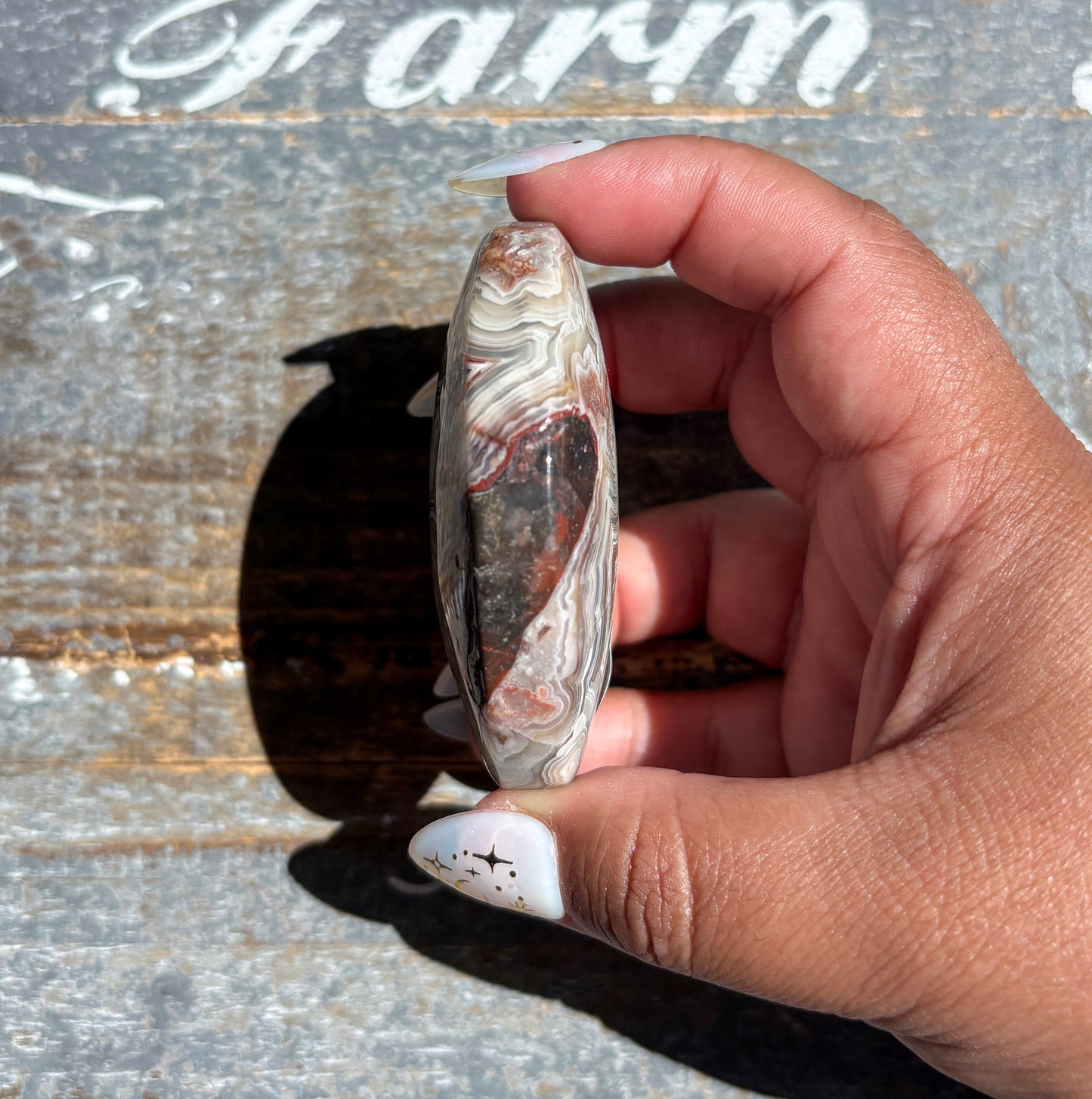 Gorgeous High Quality Crazy Lace Agate Palm Stone from Mexico | G