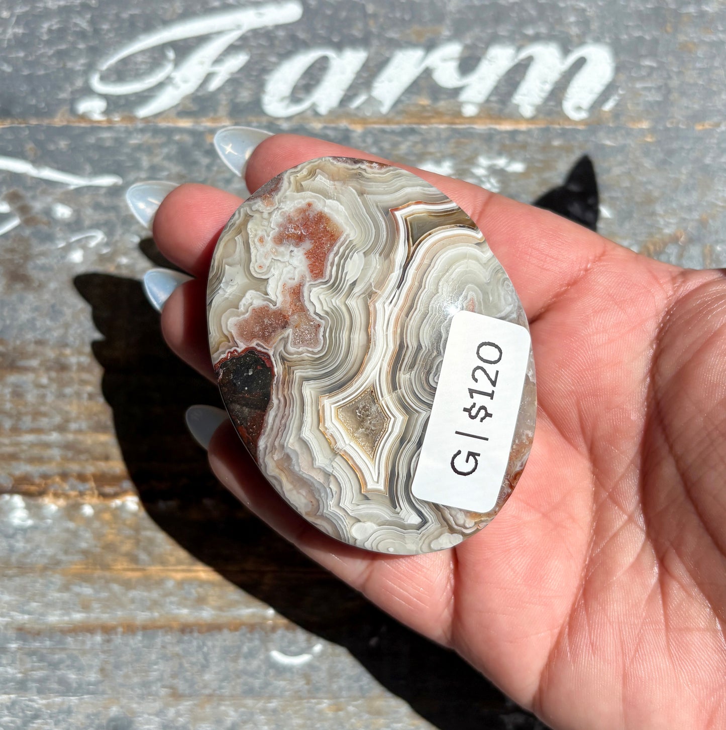 Gorgeous High Quality Crazy Lace Agate Palm Stone from Mexico | G