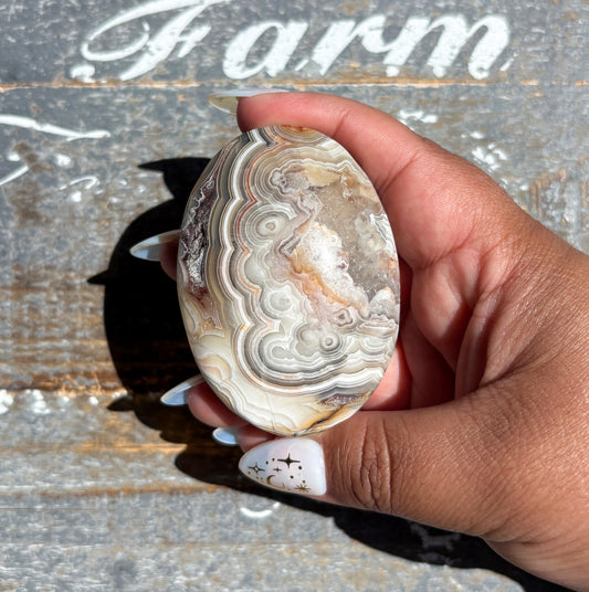 Gorgeous High Quality Crazy Lace Agate Palm Stone from Mexico | H