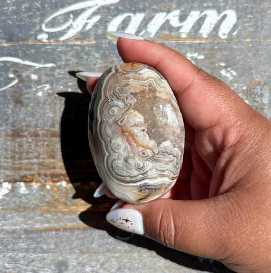 Gorgeous High Quality Crazy Lace Agate Palm Stone from Mexico | H