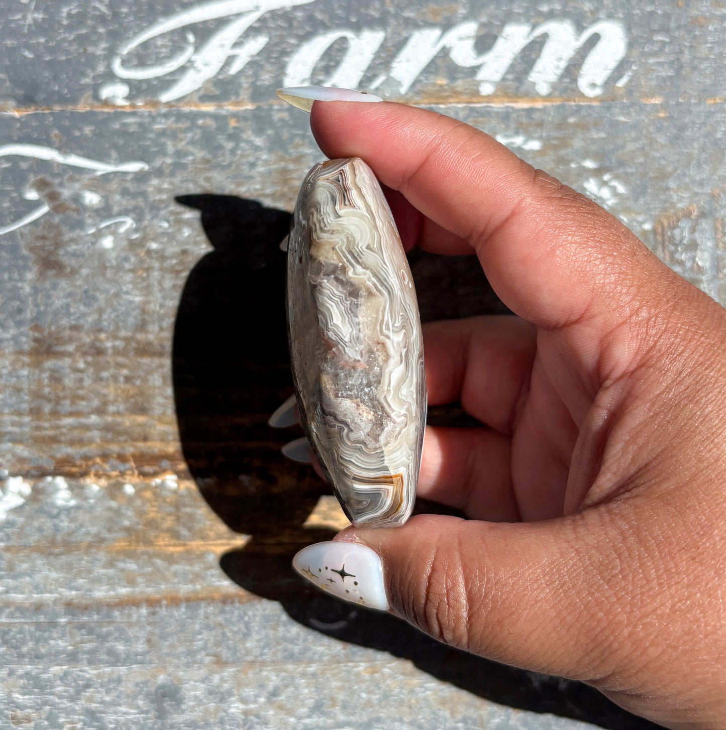 Gorgeous High Quality Crazy Lace Agate Palm Stone from Mexico | H