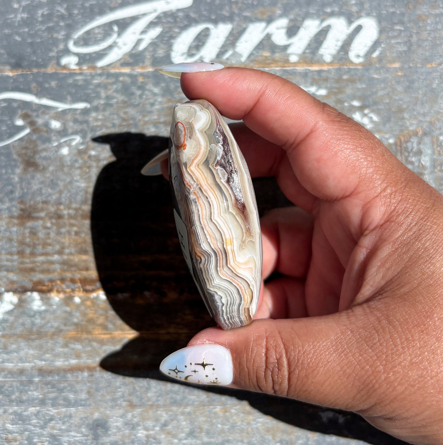 Gorgeous High Quality Crazy Lace Agate Palm Stone from Mexico | H