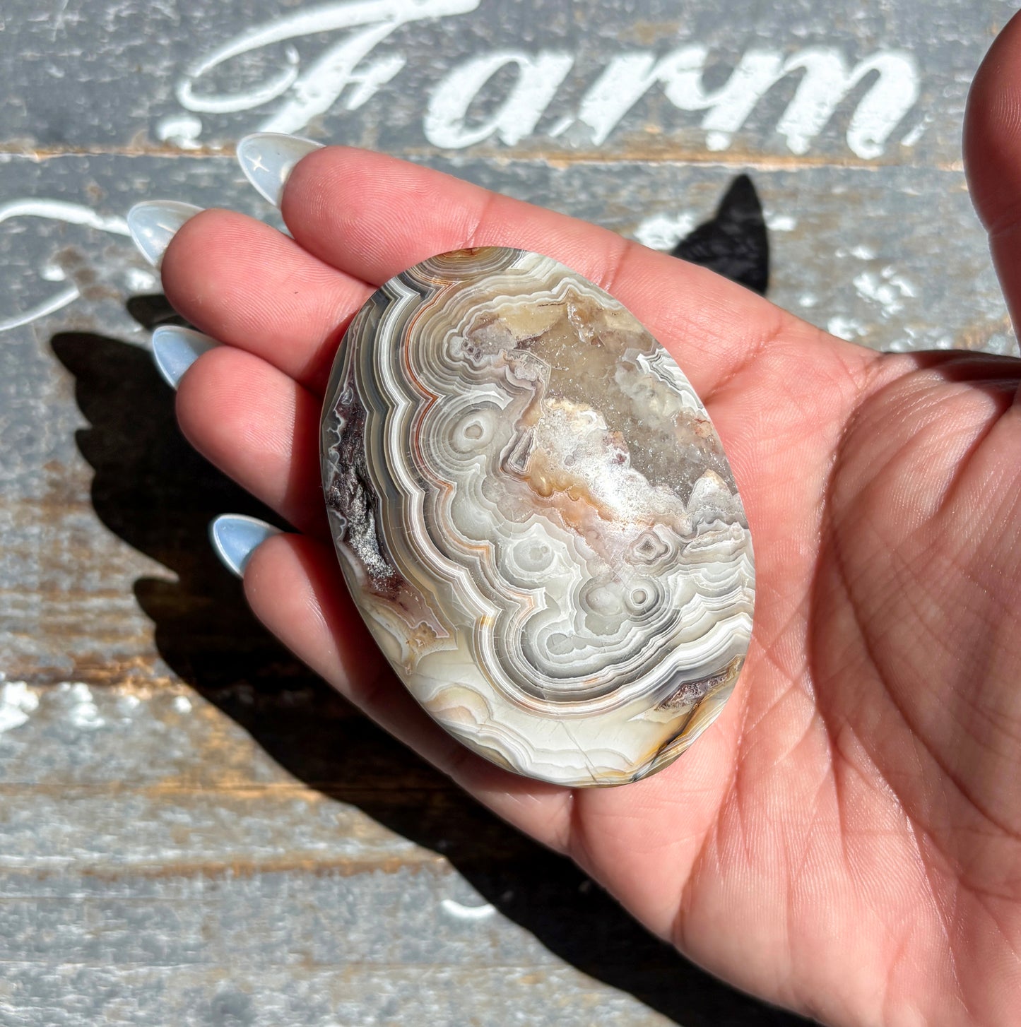 Gorgeous High Quality Crazy Lace Agate Palm Stone from Mexico | H